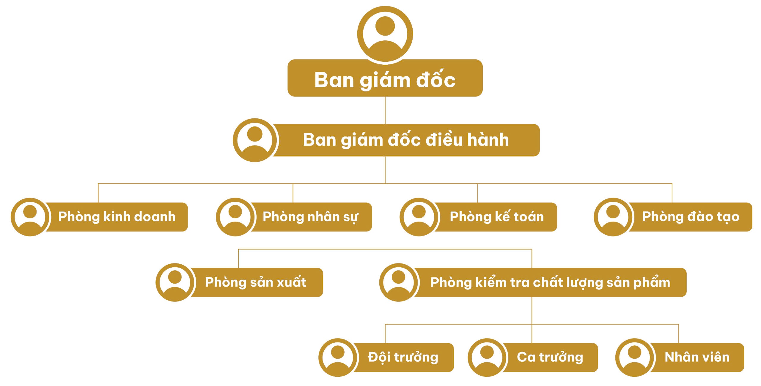Sơ đồ tổ chức